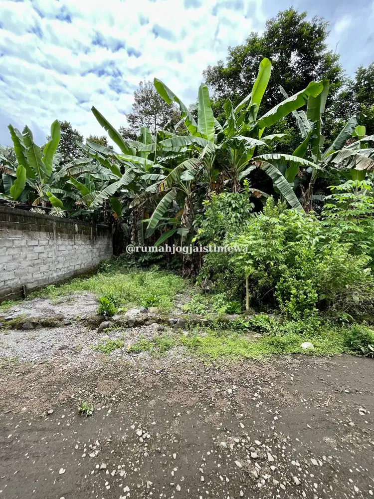 Tanah di Seyegan JL Kebonagung Barat Pasar Cebongan