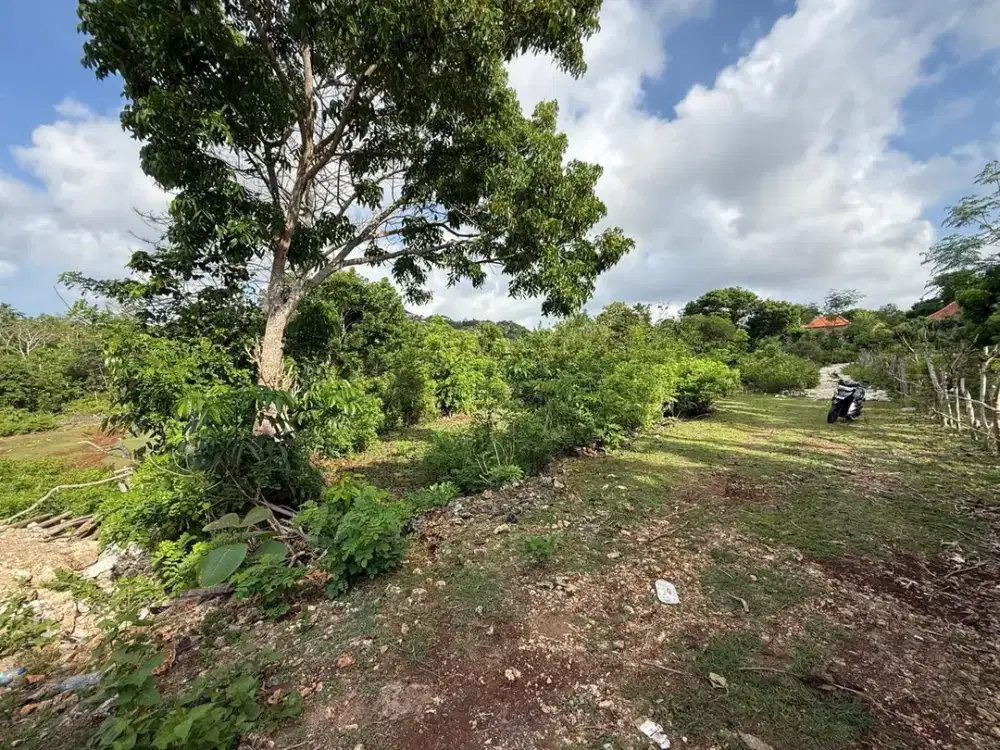 Tanah Belimbing Sari Pecatu Badung Bali