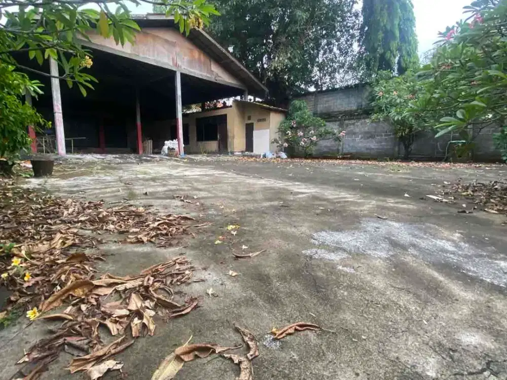 kontrakan gudang pasar cargo