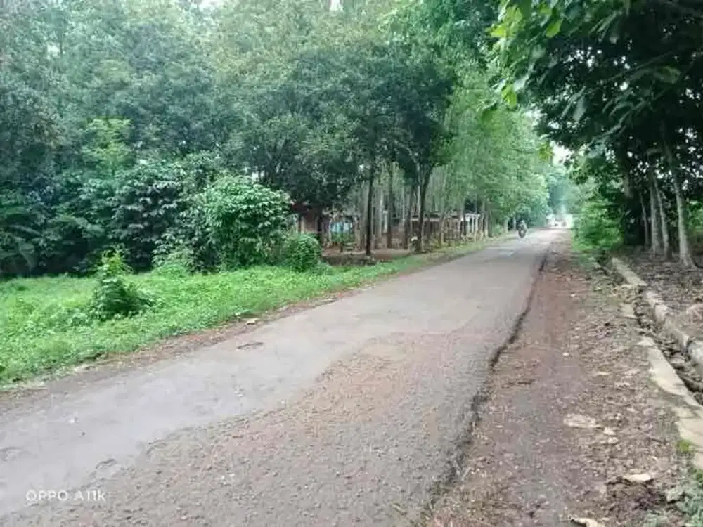 Dijual tanah harga murah 20 menit gerbang tol kalijati