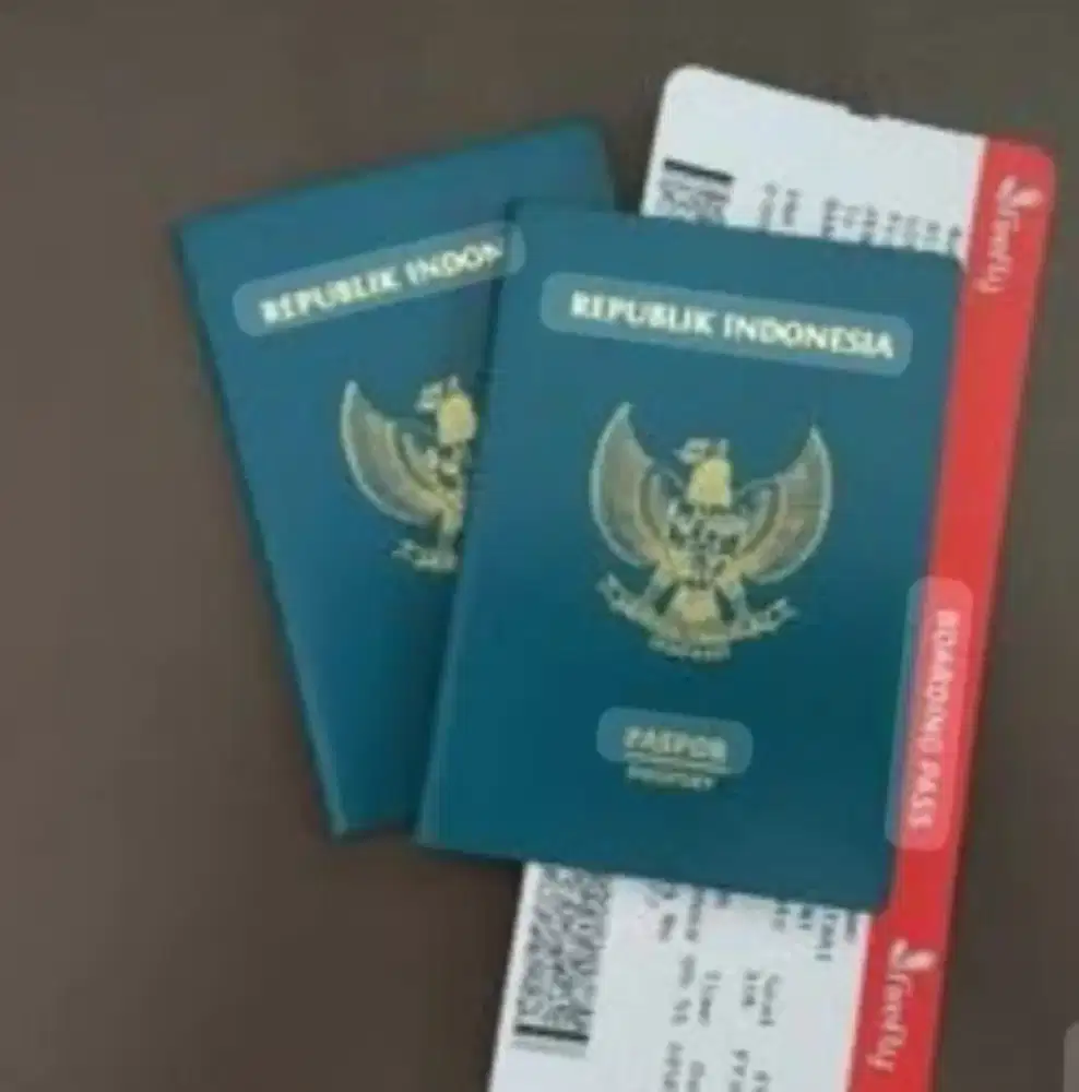 Menerima jasa pembuatan paspor dan visa