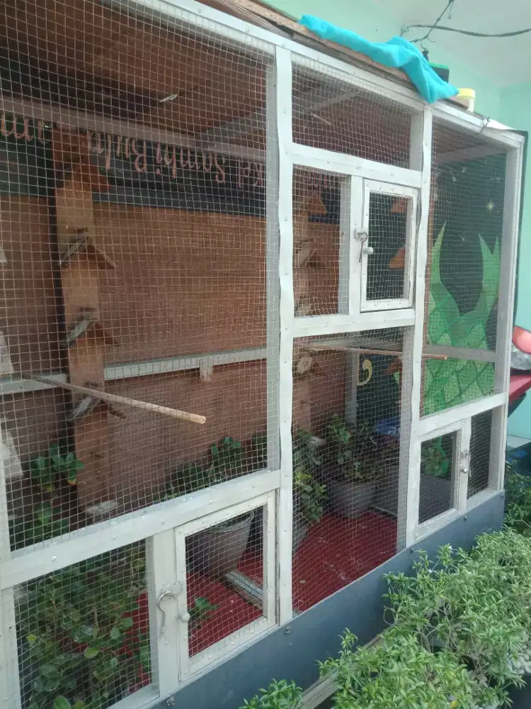 Aviari burung sangkar