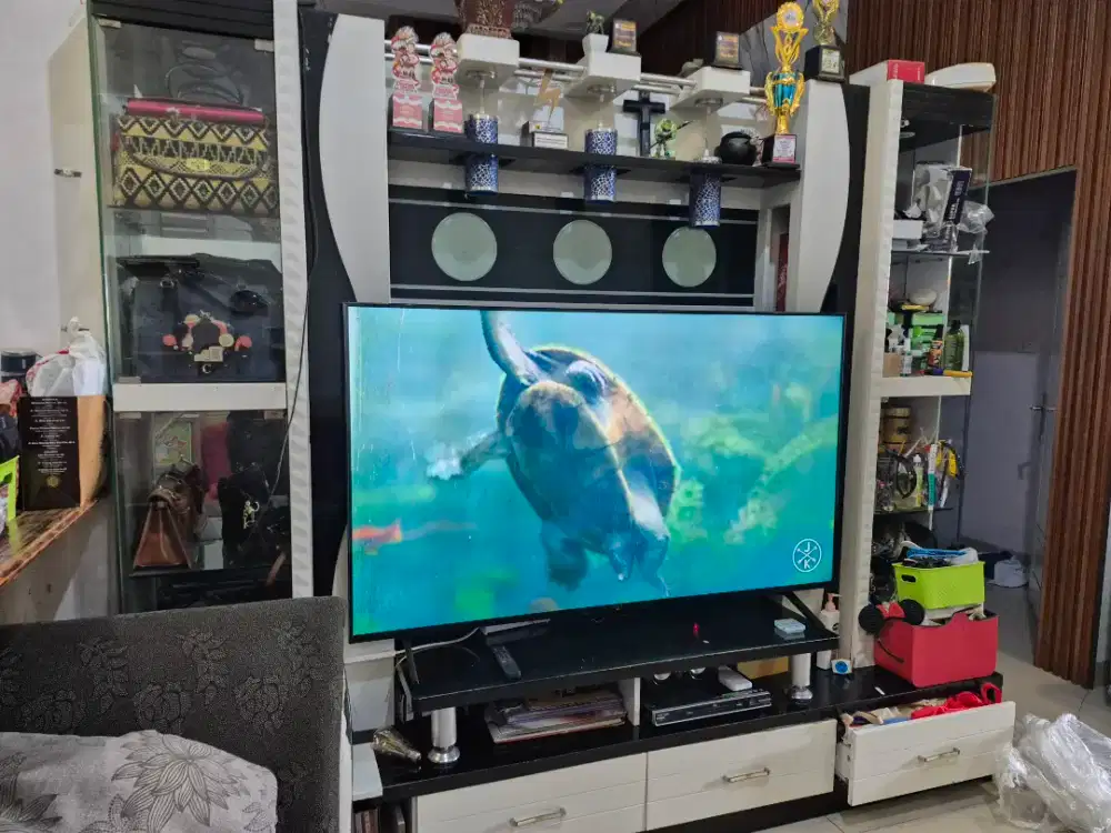 SONY GOOGLE TV 65INCH PROMO