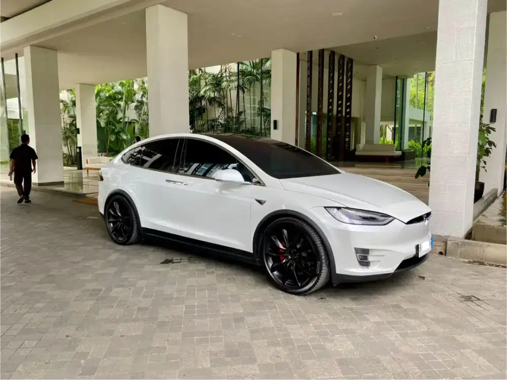 Tesla Model X Performace 2019
