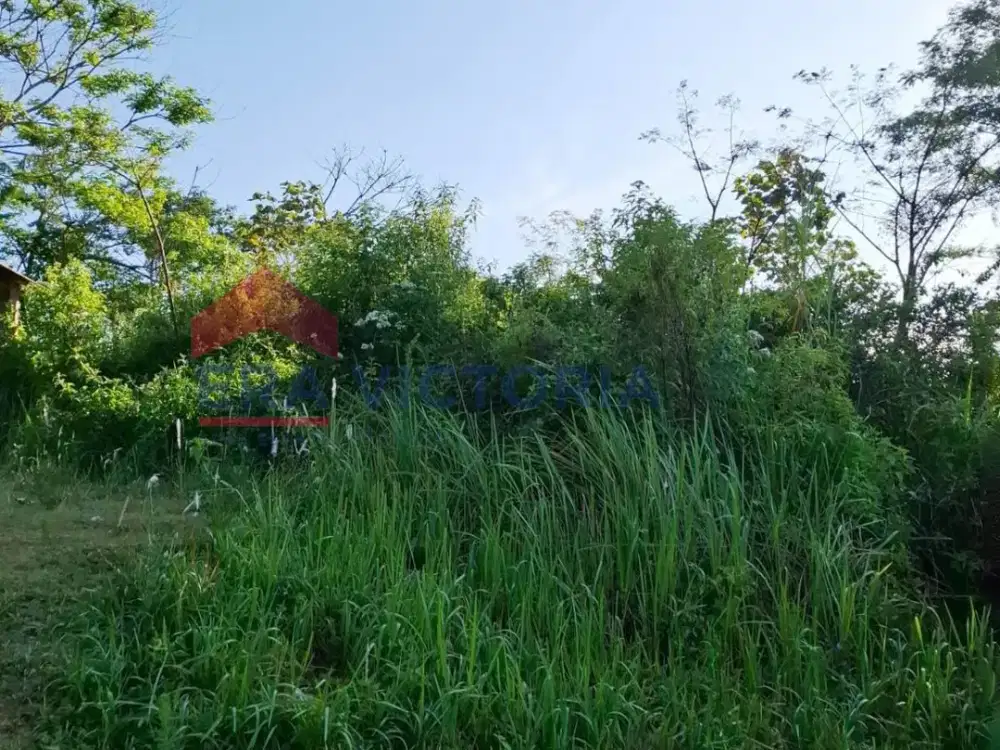 Tanah Strategis Dekat Burbank Coffee, Cocok Bangun Café Hits & Tempat Nongkrong Kekinian