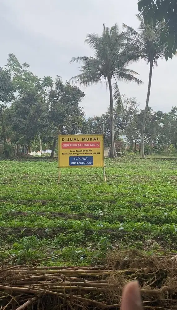 DIJUAL MURAH TANAH STRATEGIS CIPANAS GARUT - YES NEGO