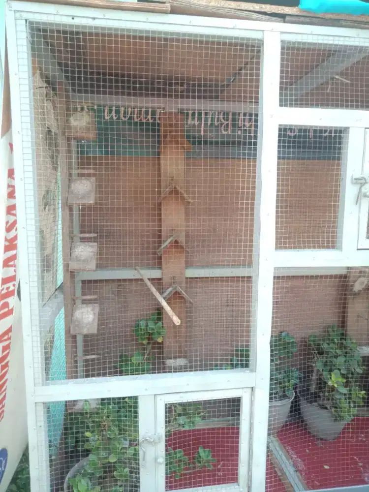 Sangkar besar kuat istimewa