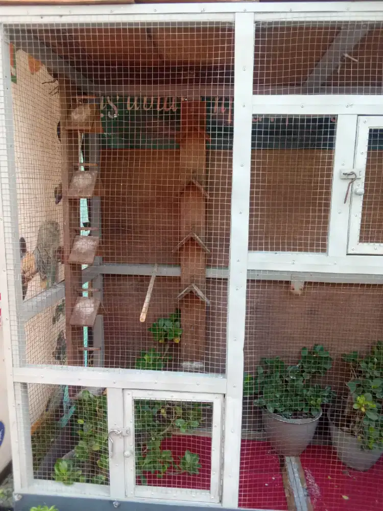 Jual sangkar burung besar