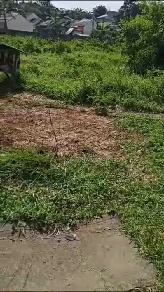 Media  tanah utntuk taman