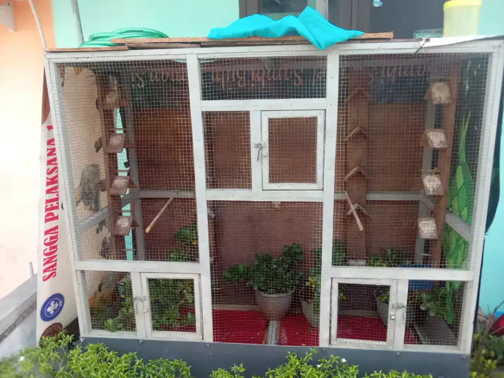 Jual sangkar burung besar