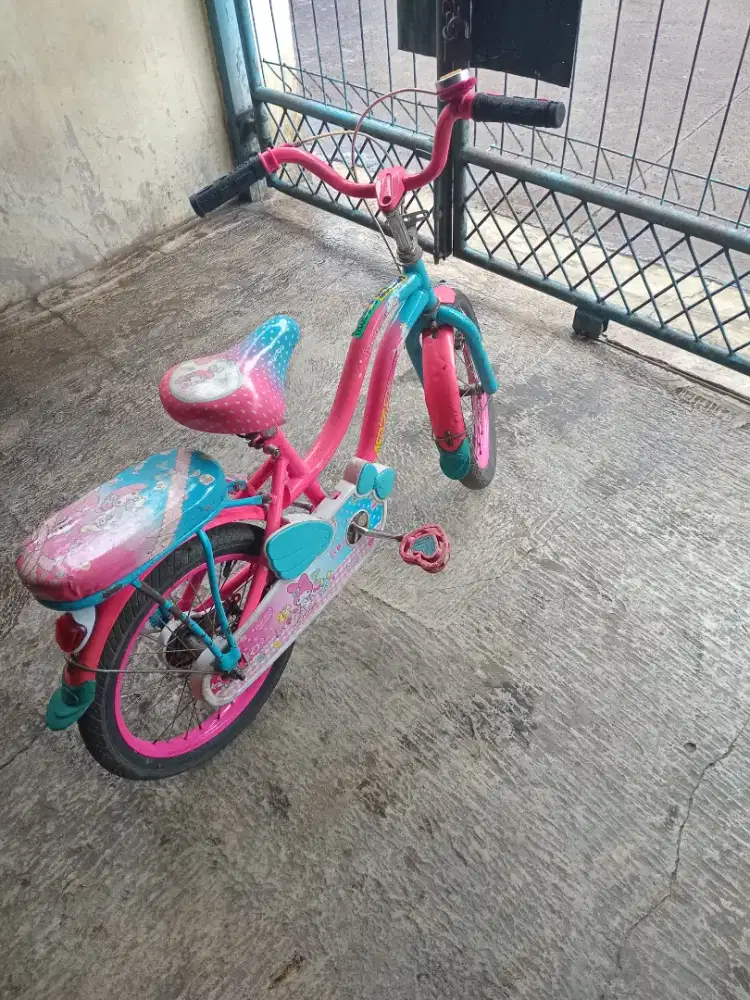 Cewe majara ukuran 16x175