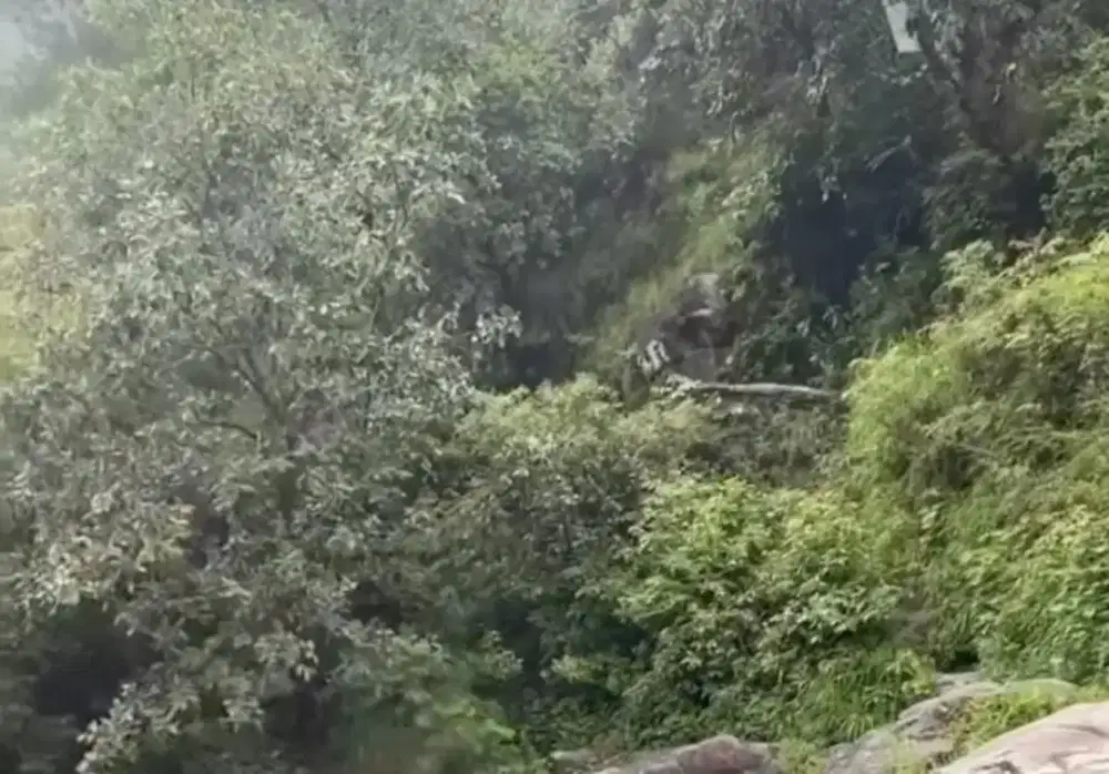 Cari pekerjaan apa ajah yg penting menghasilkan.