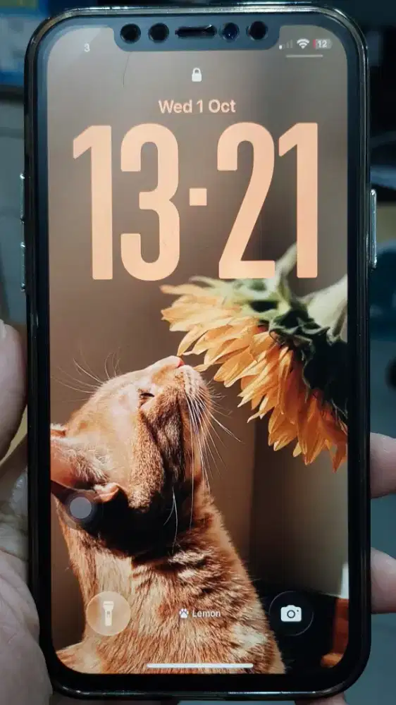 Iphone 12 256Gb Black Ibox