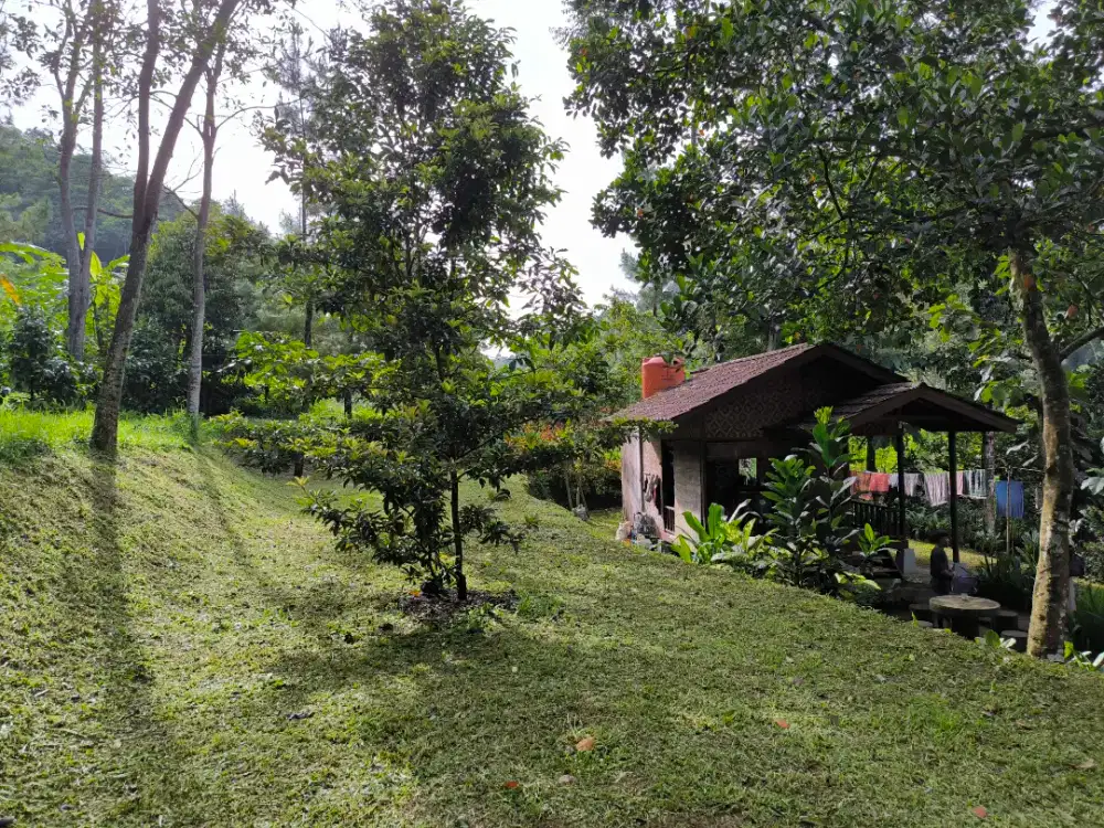 Dijual tanah bonus vila kecil di Kopo Cisarua Puncak Bogor
