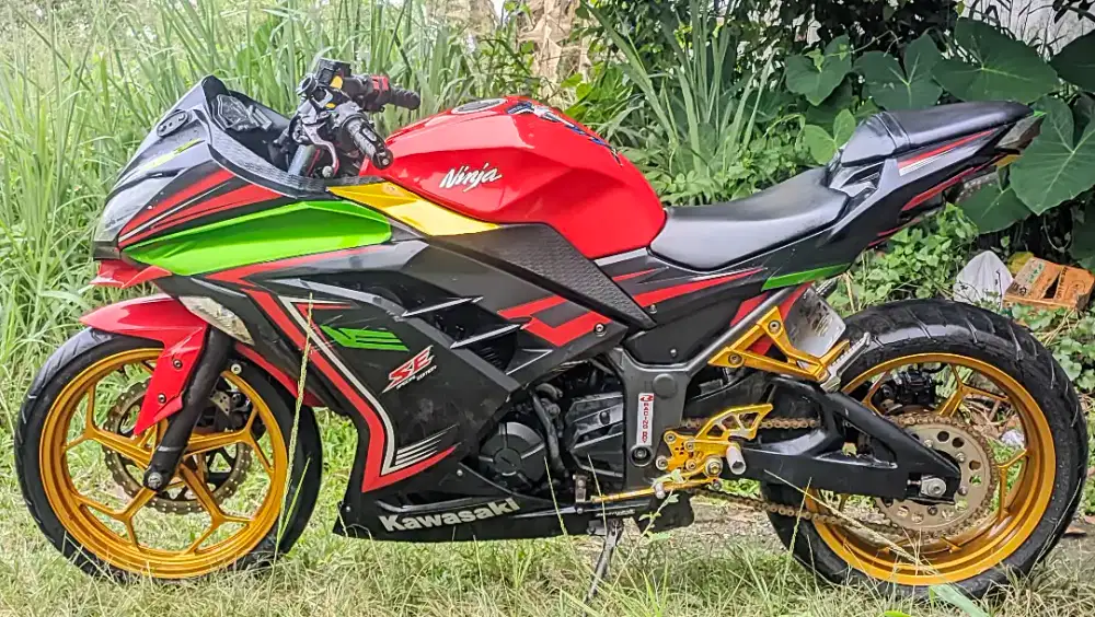 Kawasaki Ninja 250 R