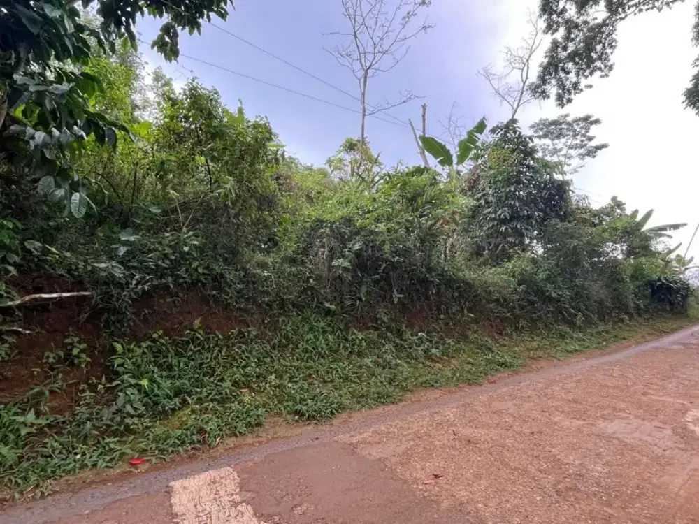 Dijual Murah Tanah 1139 m2 Pinggir Jalan Mobil Bojong Purwakarta