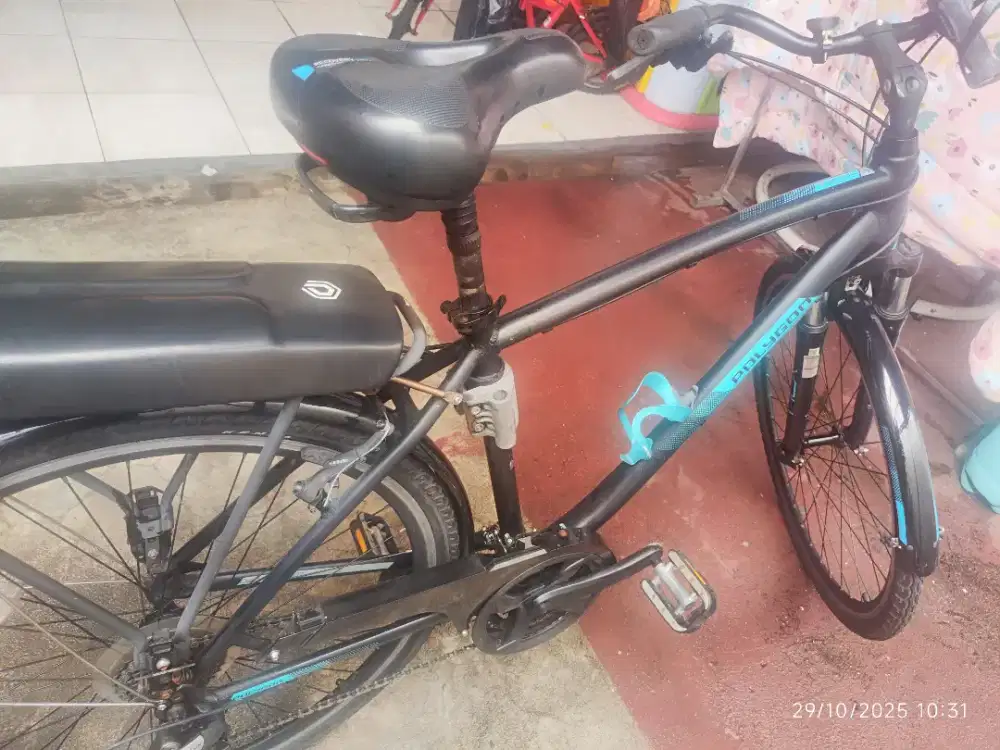 Polygon Sierra Deluxe Men