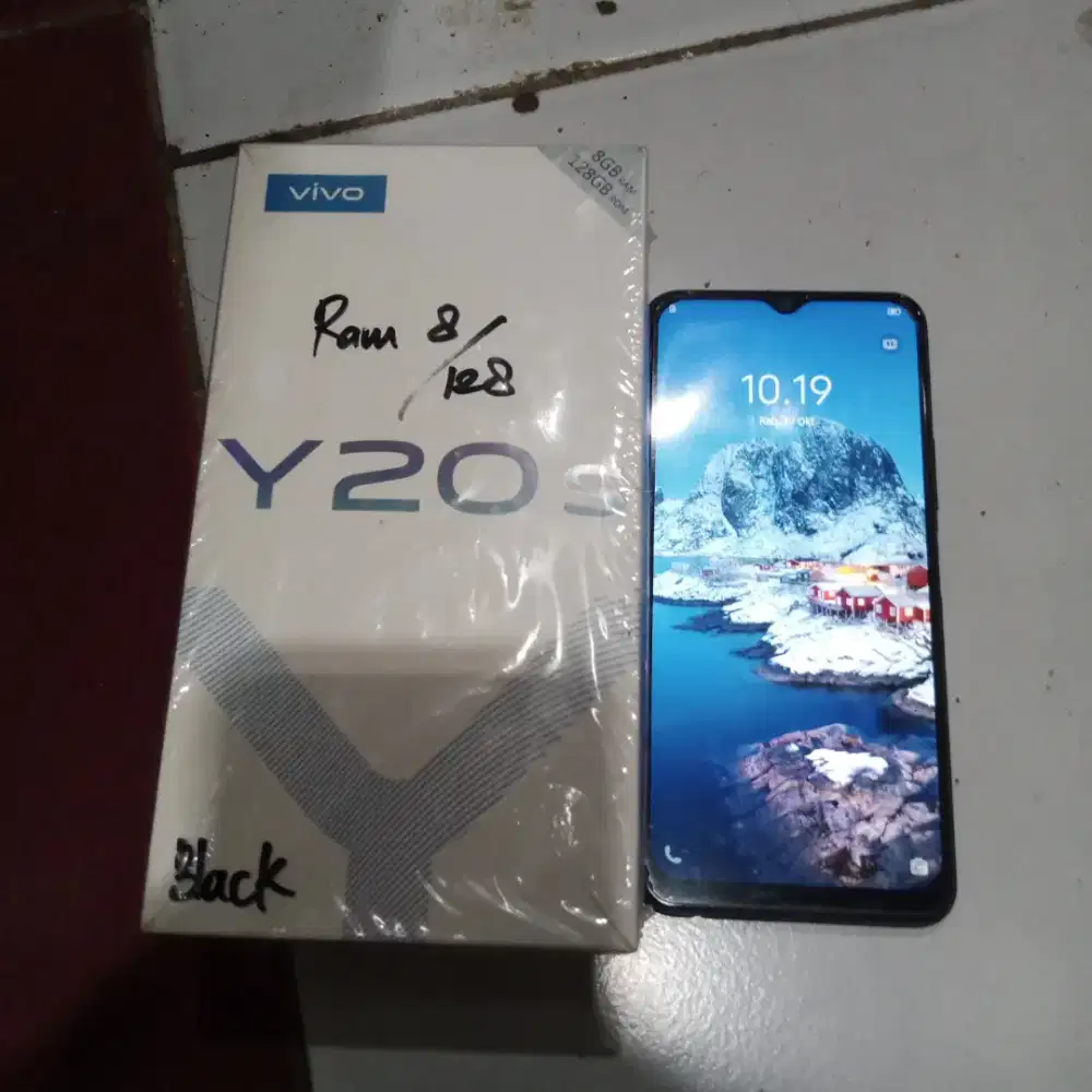 Pokus jual vivo y20s