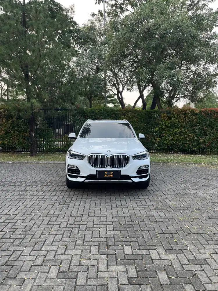 BMW X5 xDrive40i xLine 2020