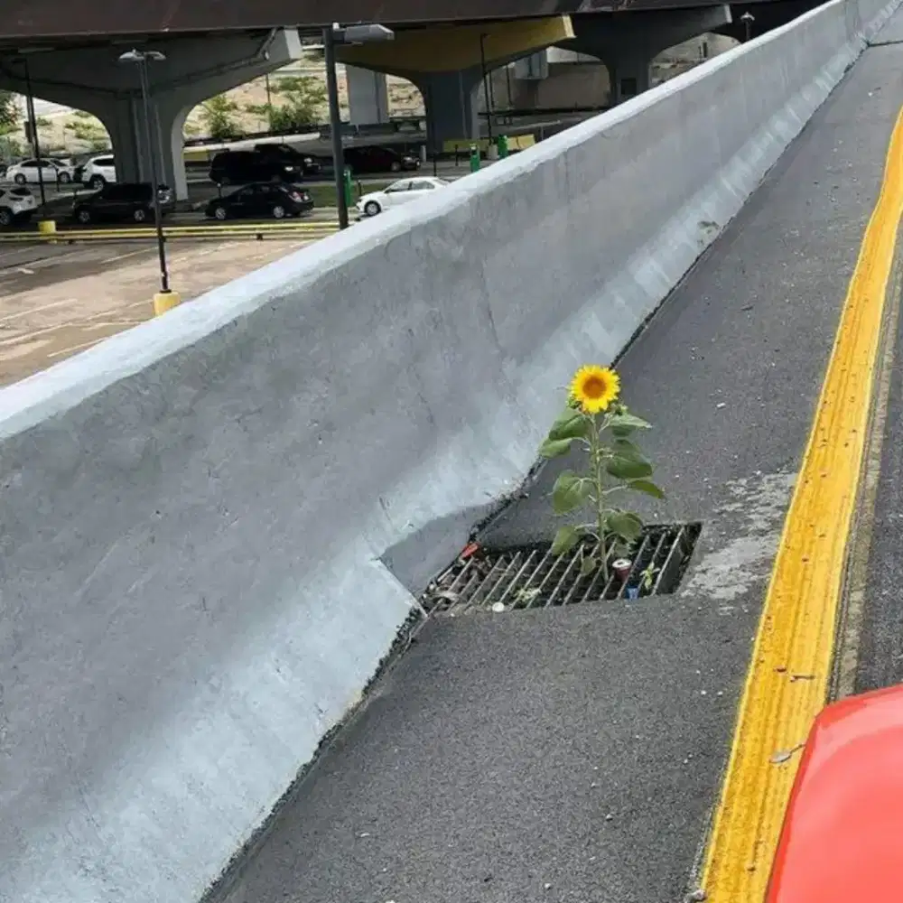 MENCARI INFO LOKER ADMIN OLSHOP/ART