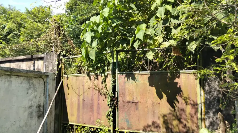 Di kontrakan tanah jalan Kusuma Dewa, Denpasar, Bali