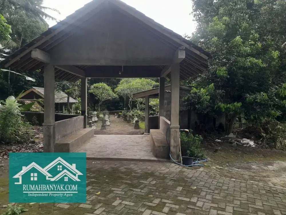 Jual Tanah Murah Di Sleman, Cocok Untuk Tanah Makam Keluarga