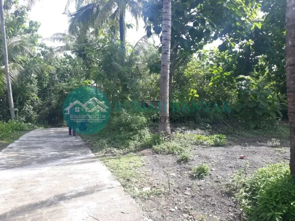 Jual Tanah Murah Di Triwidadi Pajangan Bantul, Hanya 400 Ribu-an