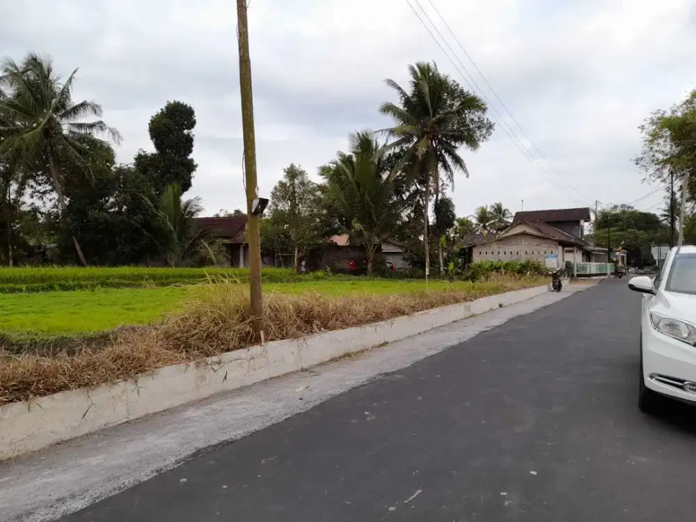 Tanah Dekat Borobudur dan Candi Mendhut Jogja