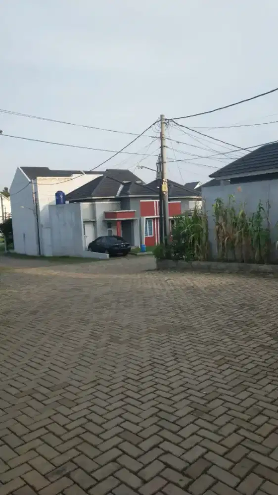 Dicari art butuh cepat