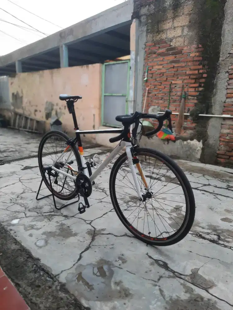 Roadbike Polygon Strattos s3 german