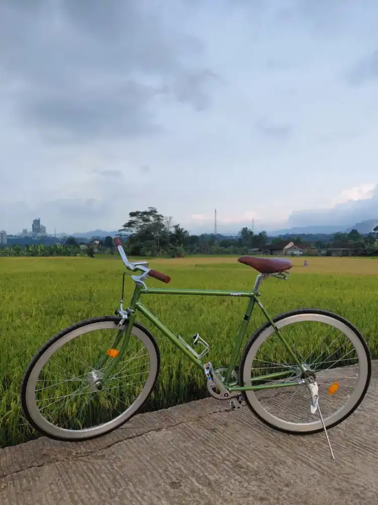 Sepeda fixie element tory