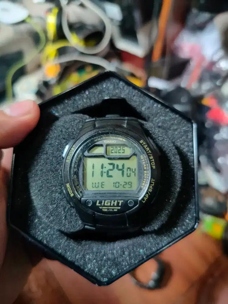 Casio light 10 year