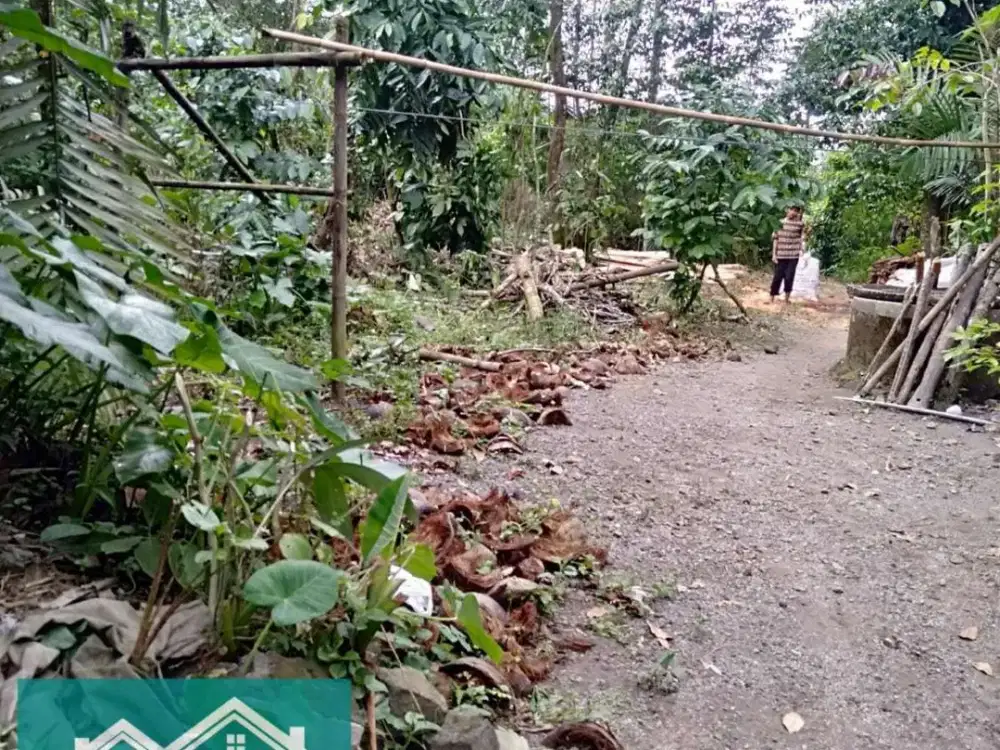 Jual Tanah Murah Di Purwobinangun Pakem, 700 Ribuan