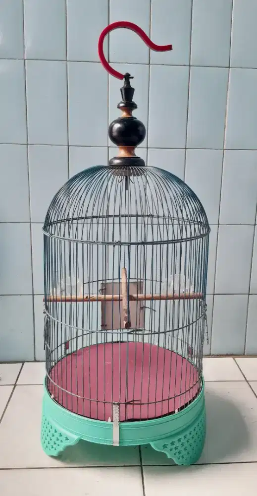 Kandang / sangkar burung