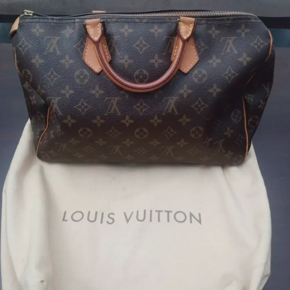 Louis Vuitton preloved