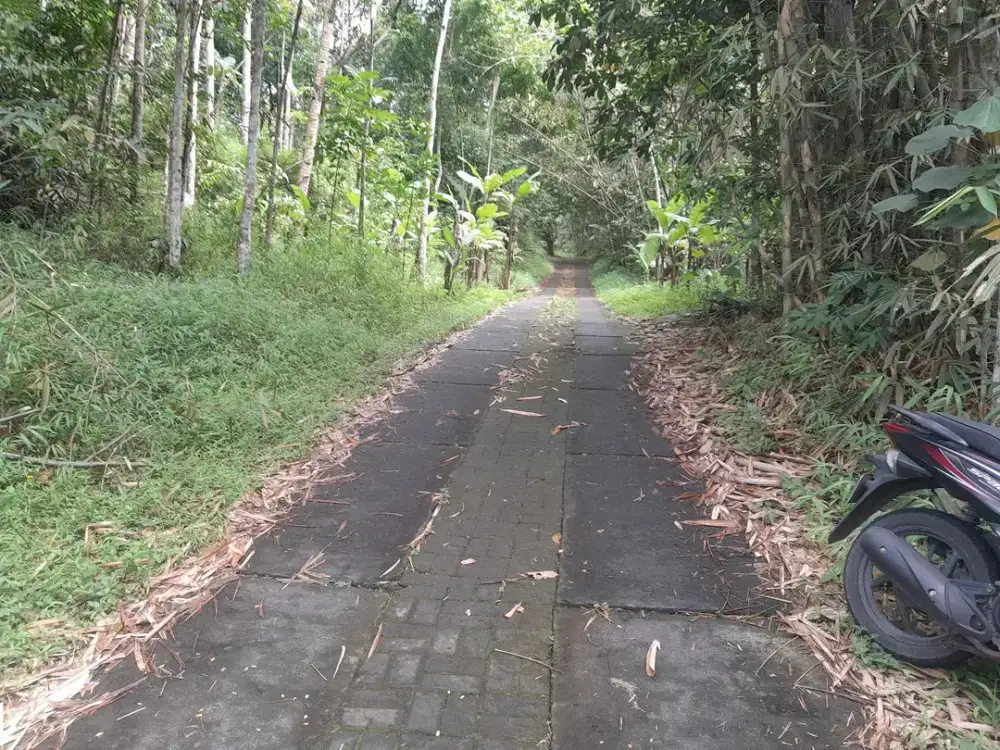 Jual Tanah Pekarangan Murah Dekat Desa Wisata Pancoh Turi, Cocok Untuk Villa