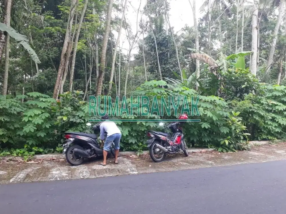 Dijual Tanah Murah di Turi Jogja; Tepi Jalan Aspal & Ada Mata Air, 800 Ribuan