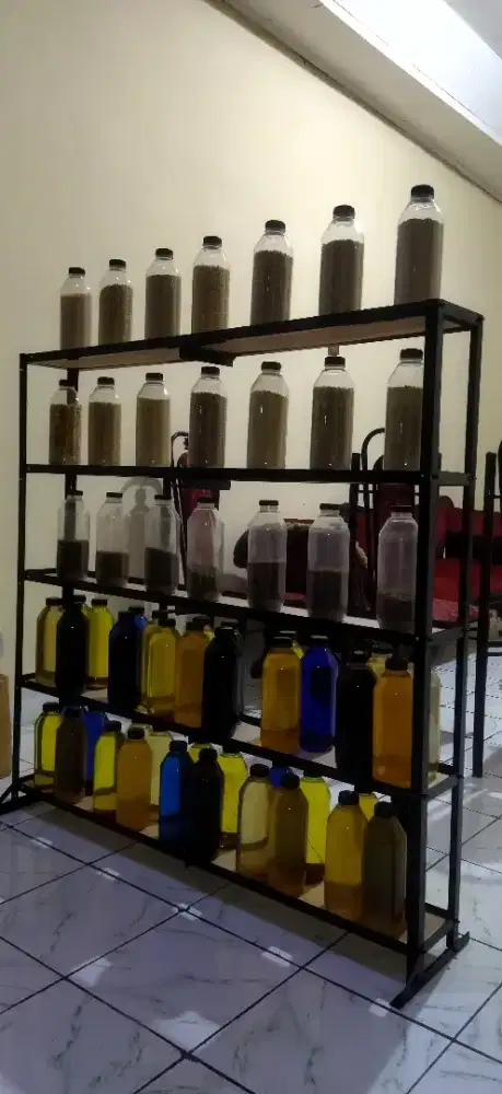 Serum fregmentasi (kultur air)