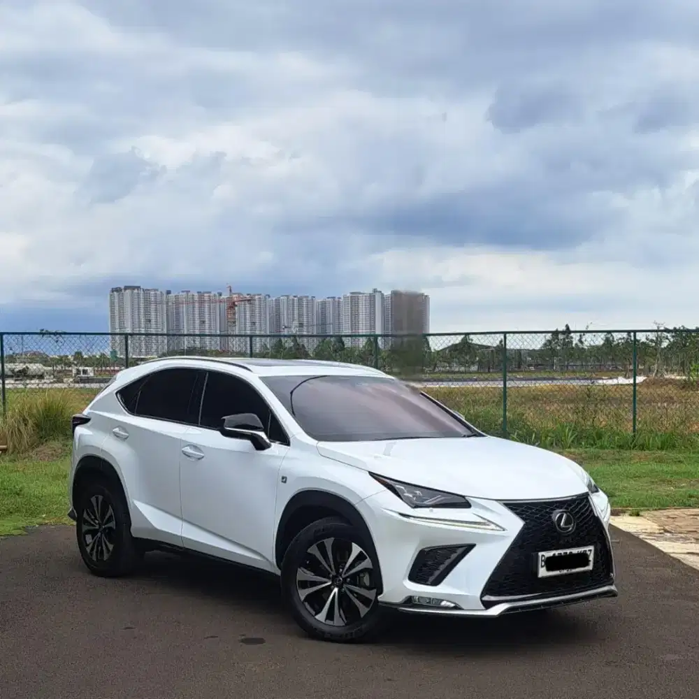 Lexus NX300 NX-300 NX 300 F-Sport F Sport Fsport 2018 Low KM46RB antik