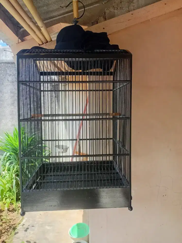 Kandang kotak no1 rep ebod