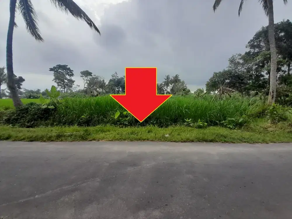 Jual Tanah Di Pakem, Suasana Sejuk dan Alami