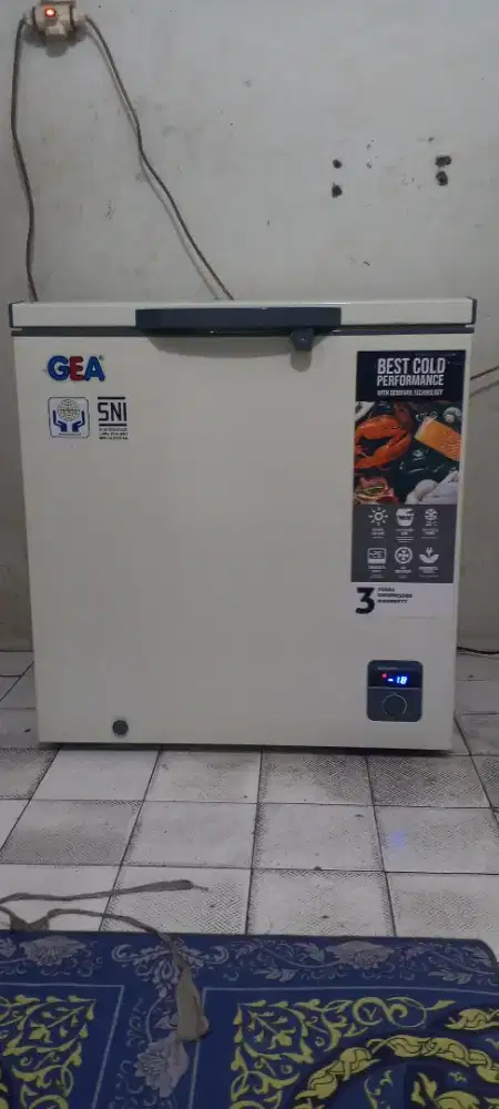 Frezeer box GEA 210 ltr