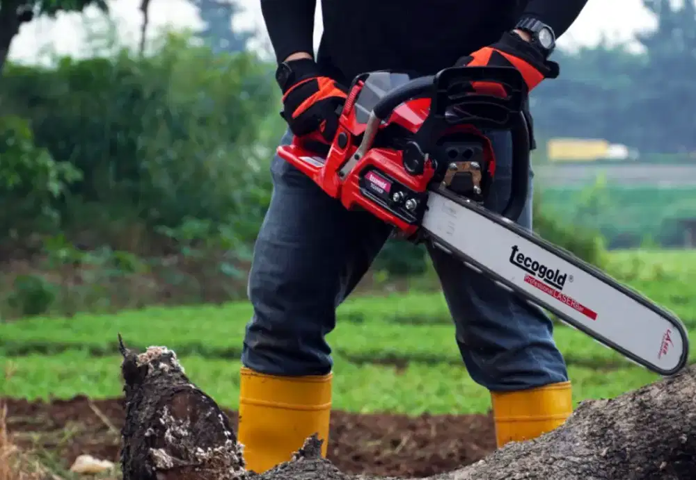 jasa tebang pohon + perapian + pembuangan