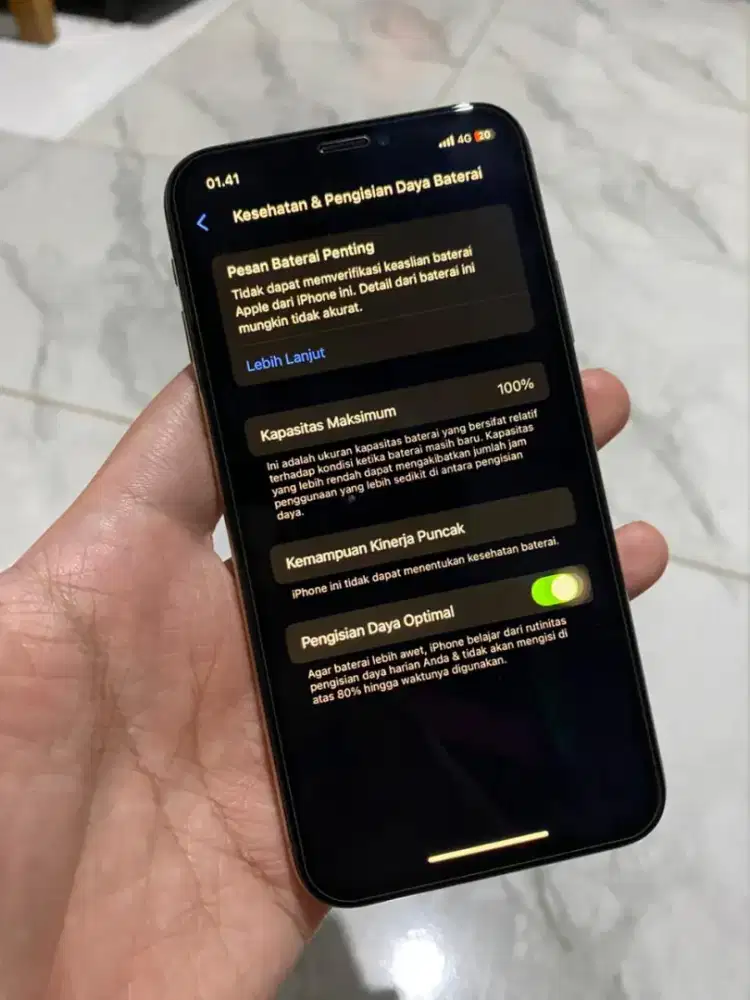 iPhone XS 256Gb Bh100%