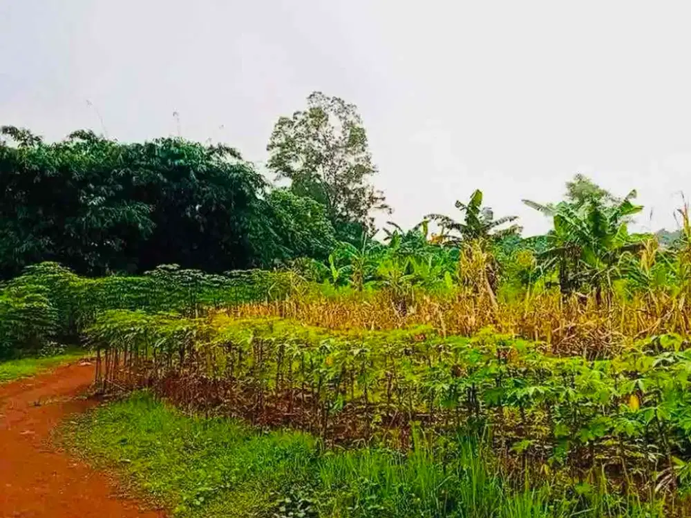 Dijual Tanah 3800 Meter Bantar Gebang Ciketing Udik