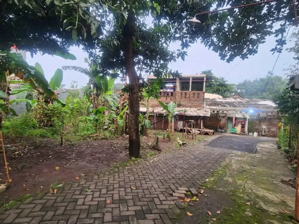Jual cepat tanah 252m2 di ketileng timur sendangmulyo