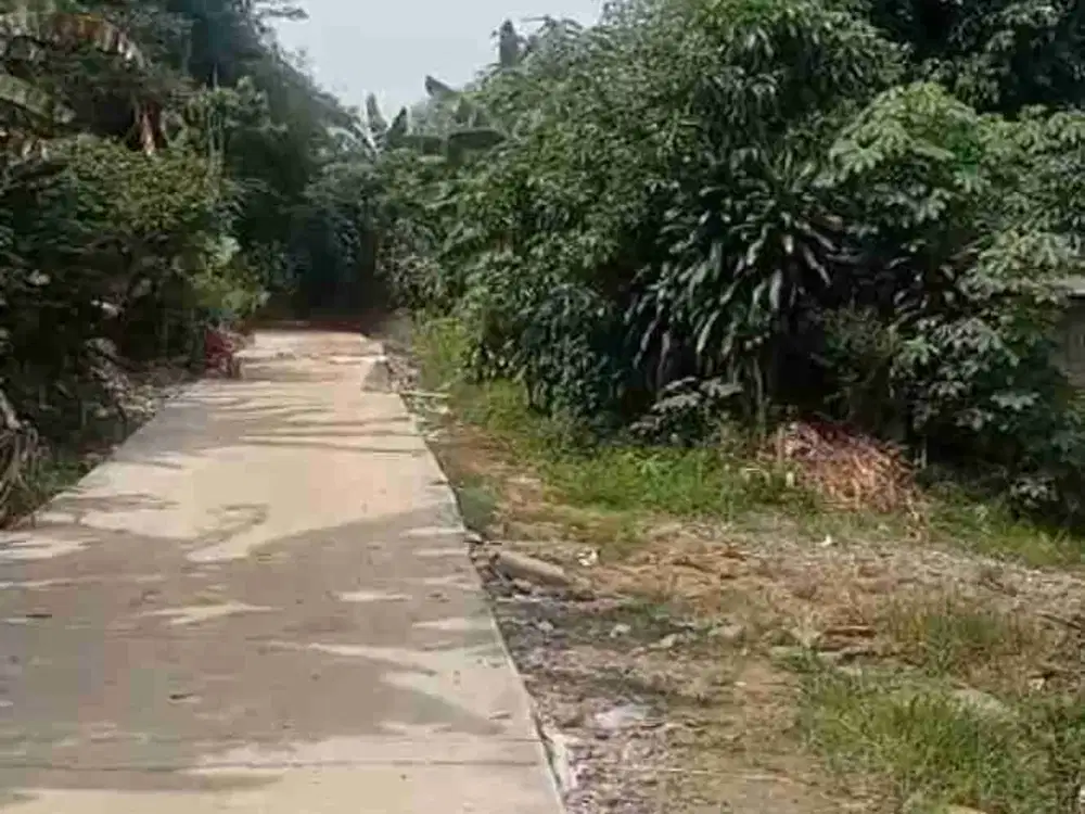 Disewakan tanah murah dekat bsd di Rumpin Bogor