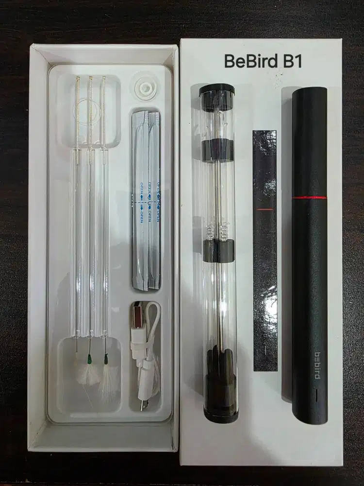 Camera Pembersih Telinga BeBird