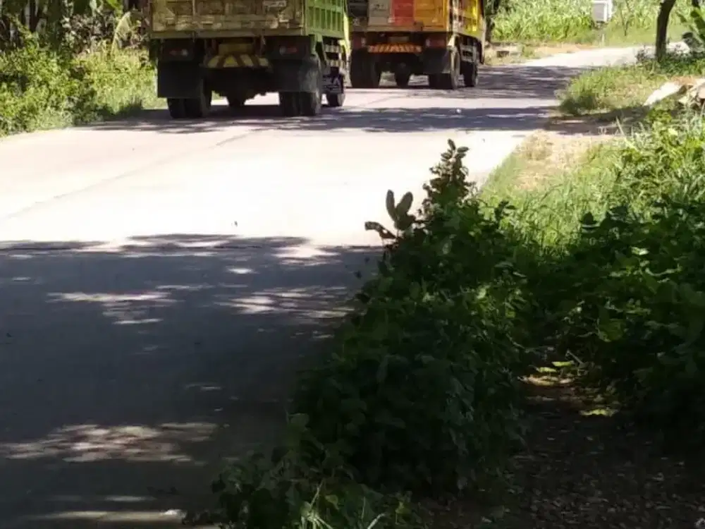 Dijual Tanah Murah di Jalan Raya Pucuk Mojokerto