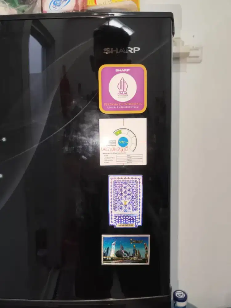 LEMARI ES/KULKAS MERK SHARP 2 PINTU TYPE SJ237MG